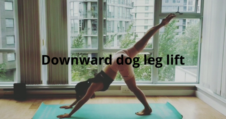 Downward dog leg lift